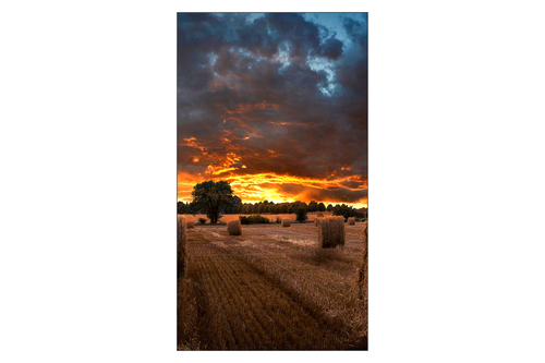 Miniatura 4 de pantalla de proyección Samsung VMB-U VM55B-U 55" Full HD, IPS