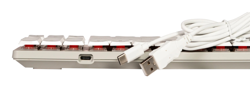 Miniatura 2 de Teclado Naceb Technology Español, Alámbrico, USB, Interruptor mecánico, LED RGB, Gris, Blanco