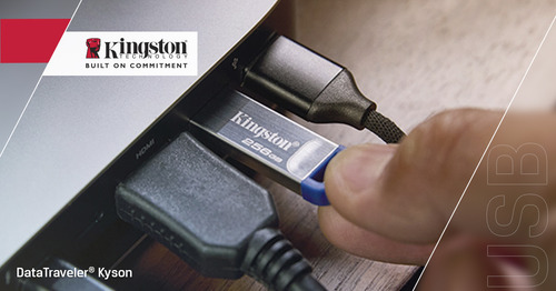 Miniatura 3 de USB MEMORIA KINGSTON 256GB DATA